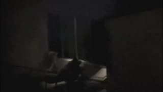 Zobacz, jak oni pierdolą się po ciemku!