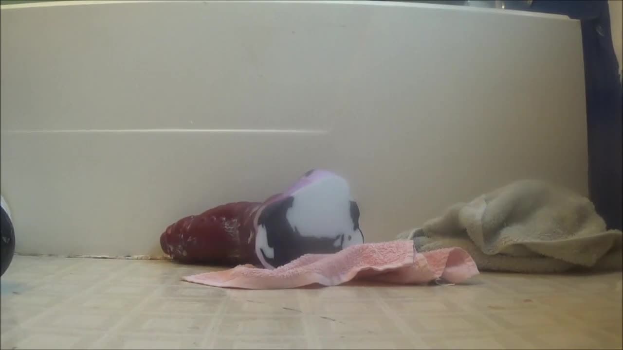 Potwierdź swoją pełnoletność