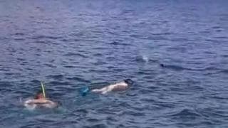 Ekstremalny podwodny seks między nurkami