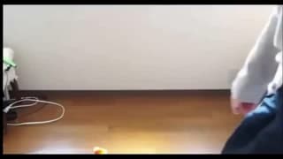 Potwierdź swoją pełnoletność