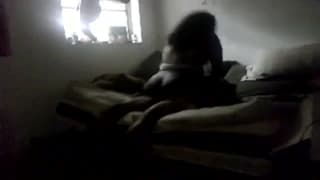 Duża transseksualistka zerżnięta w dupę