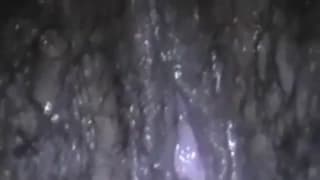 Murzynka z kochanką i facetem w trio