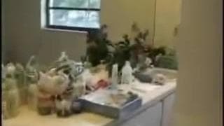 Potwierdź swoją pełnoletność