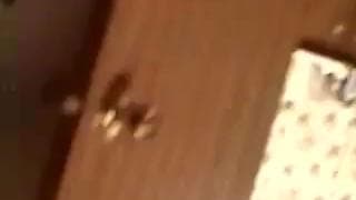 Potwierdź swoją pełnoletność
