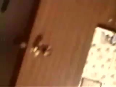 Potwierdź swoją pełnoletność