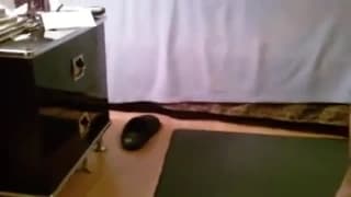 Czarna dojrzała para w domowym porno filmie