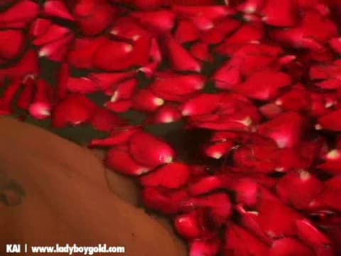 Potwierdź swoją pełnoletność