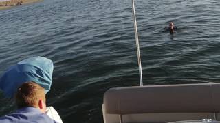 Potwierdź swoją pełnoletność