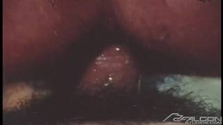 Mac Turner i Eric Nolte - scena sodomii vintage