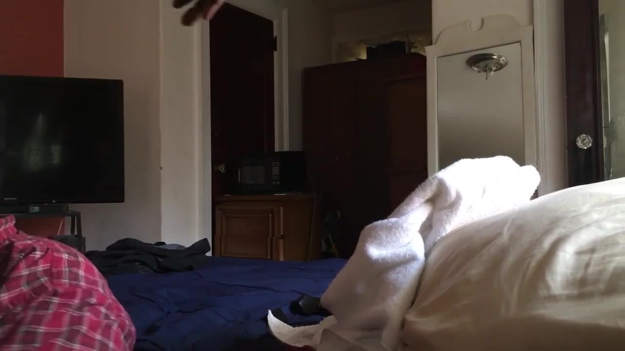 Potwierdź swoją pełnoletność