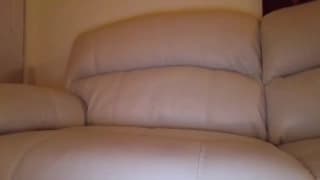 Napalona trans wali chuja dla kochanka na czacie