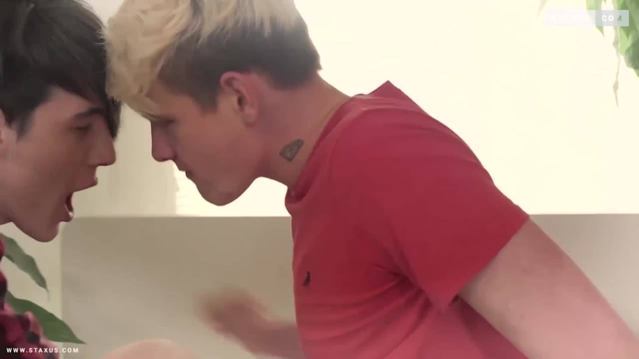 Potwierdź swoją pełnoletność