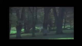 Potwierdź swoją pełnoletność