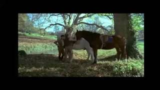 Potwierdź swoją pełnoletność