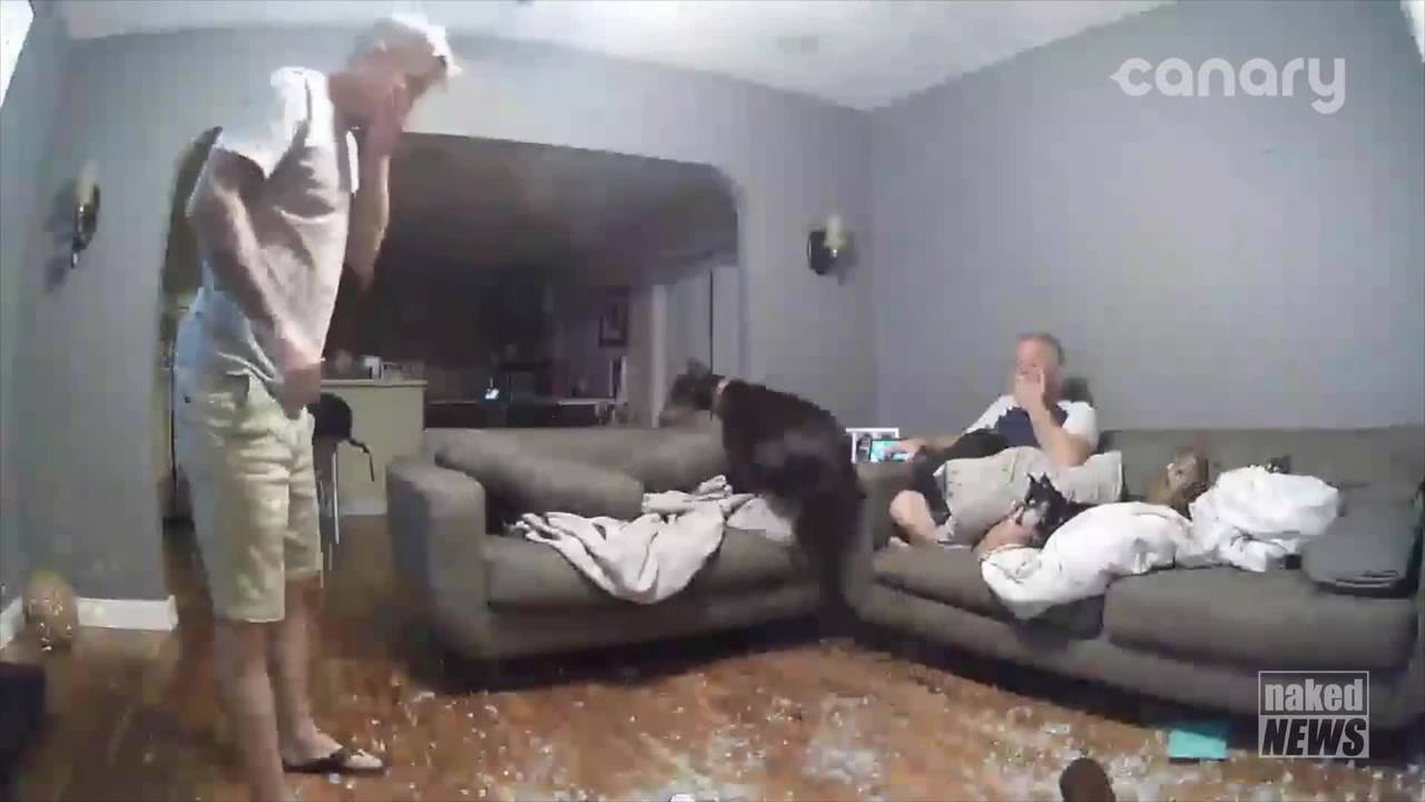 Potwierdź swoją pełnoletność