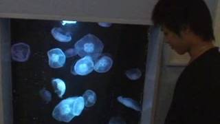 Ładni orientalni chłopcy pokażą jak się zabawiają