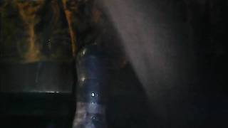 Owłosiony facet siada dupą na dużej seks zabawce