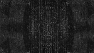 Każda z nich lubi taki seks, Dee i Erica