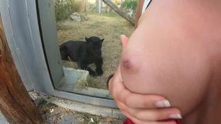 Podniecona para uprawia seks na wycieczce w zoo! Podniecona para uprawia seks na wycieczce w zoo!