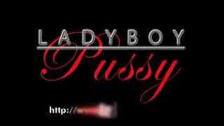 Gorąca trans ma nową pizdę i kocha się pierdolić!