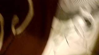 Seks taśma kręcona bardzo blisko przez francuską parę