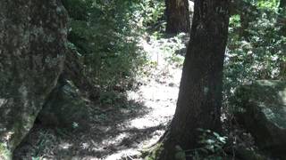 Potwierdź swoją pełnoletność