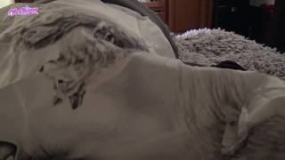 Piękna Victoria Alouqua obciąga i rucha się w łóżku