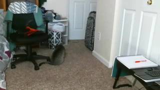 Potwierdź swoją pełnoletność