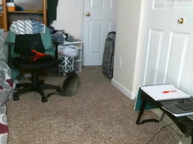 Potwierdź swoją pełnoletność