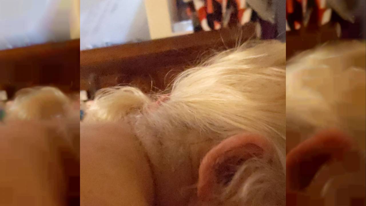 Potwierdź swoją pełnoletność