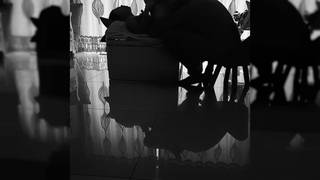 W ciemnym pokoju facet pierdoli swoją azjatycką dziwkę