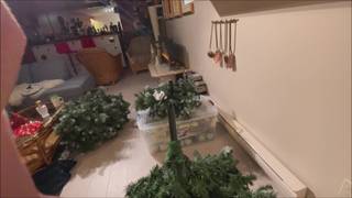 Potwierdź swoją pełnoletność