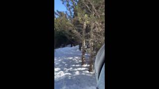 Potwierdź swoją pełnoletność