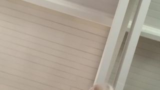 Potwierdź swoją pełnoletność