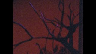 Potwierdź swoją pełnoletność